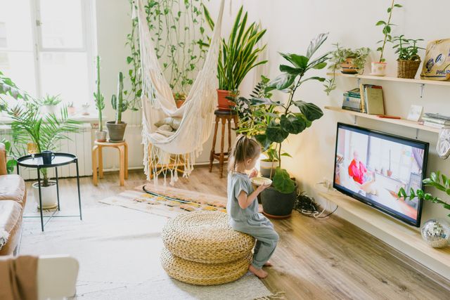 インターネットテレビ,テレビ